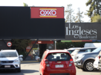 IMAGENES LOCALES (6)